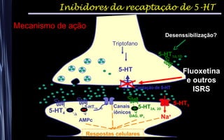 5-HT
Triptofano
5-HT1A,1D
Canais
iônicos
5-HT1A, 1D
AMPc
5-HT4
Inibidores da recaptação de 5-HT
5-HT3
Na+
Respostas celulares
5-HT2A, 2D
DAG, IP3
Fluoxetina
e outros
ISRS
Desenssibilização?
Mecanismo de ação
 