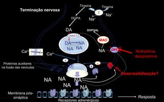 DOPA
DA
T
Na+
Tirosina
Terminação nervosa
Proteínas auxiliares
na fusão das vesículas
DA
Tirosina
Na+
NA
VMAT2
Ca2+
Ca2+
+
β
+ α2
-
NA NA
NA
Receptores adrenérgicos
Membrana pós-
sináptica Resposta
α 1α 1α 1 βββ
MAO
DOPGAL
NETNA Notriptilina,
desipramina
Desenssibilização?
NANA
NA NA
 