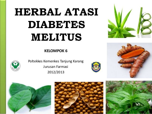 Herbal Atasi Diabetes Melitus