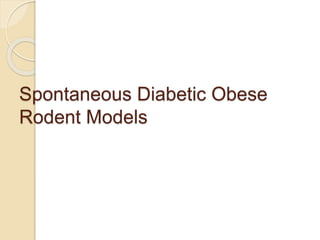 Spontaneous Diabetic Obese
Rodent Models
 