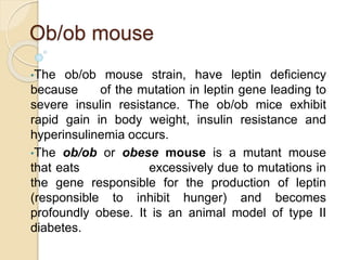 Ob/ob mouse
•The ob/ob mouse strain, have leptin deficiency
because of the mutation in leptin gene leading to
severe insulin resistance. The ob/ob mice exhibit
rapid gain in body weight, insulin resistance and
hyperinsulinemia occurs.
•The ob/ob or obese mouse is a mutant mouse
that eats excessively due to mutations in
the gene responsible for the production of leptin
(responsible to inhibit hunger) and becomes
profoundly obese. It is an animal model of type II
diabetes.
 