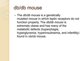 db/db mouse
 The db/db mouse is a genetically
mutated mouse in which leptin receptors do not
function properly. The db/db mouse is
extremely obese and has many of the
metabolic defects (hyperphagia,
hyperglycemia, hyperinsulinemia, and infertility)
found in ob/ob mouse.
 