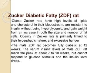 Zucker Diabetic Fatty (ZDF) rat
•Obese Zucker rats have high levels of lipids
and cholesterol in their bloodstream, are resistant to
insulin without being hyperglycemic, and gain weight
from an increase in both the size and number of fat
cells. Obesity in Zucker rats is primarily linked to
their hyperphagic nature, and excessive hunger
•The male ZDF rat becomes fully diabetic at 12
weeks. The serum insulin levels of male ZDF rat
reach the peak at about 7 to 10 weeks, but cannot
respond to glucose stimulus and the insulin level
drops.
 