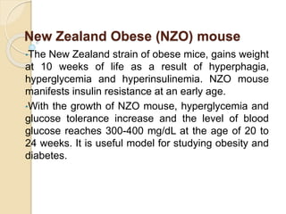 New Zealand Obese (NZO) mouse
•The New Zealand strain of obese mice, gains weight
at 10 weeks of life as a result of hyperphagia,
hyperglycemia and hyperinsulinemia. NZO mouse
manifests insulin resistance at an early age.
•With the growth of NZO mouse, hyperglycemia and
glucose tolerance increase and the level of blood
glucose reaches 300-400 mg/dL at the age of 20 to
24 weeks. It is useful model for studying obesity and
diabetes.
 