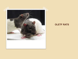 OLETF RATS
 
