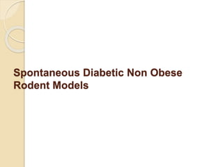 Spontaneous Diabetic Non Obese
Rodent Models
 