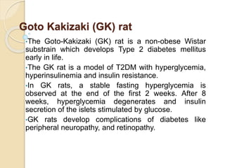Goto Kakizaki (GK) rat
•The Goto-Kakizaki (GK) rat is a non-obese Wistar
substrain which develops Type 2 diabetes mellitus
early in life.
•The GK rat is a model of T2DM with hyperglycemia,
hyperinsulinemia and insulin resistance.
•In GK rats, a stable fasting hyperglycemia is
observed at the end of the first 2 weeks. After 8
weeks, hyperglycemia degenerates and insulin
secretion of the islets stimulated by glucose.
•GK rats develop complications of diabetes like
peripheral neuropathy, and retinopathy.
 
