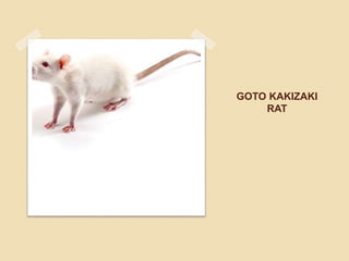 GOTO KAKIZAKI
RAT
 