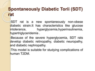 Spontaneously Diabetic Torii (SDT)
rat
•SDT rat is a new spontaneously non-obese
diabetic strain.It has characteristics like glucose
intolerance, hyperglycemia,hyperinsulinemia,
hypertriglyceridemia .
•Because of the severe hyperglycemia, SDT rats
develop diabetic retinopathy, diabetic neuropathy,
and diabetic nephropathy.
•This model is suitable for studying complications of
human T2DM.
 