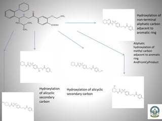 Hydroxylation of
non-terminal
aliphatic carbon
adjacent to
aromatic ring
Aliphatic
hydroxylation of
methyl carbon
adjacent to aromatic
ring
AndFromCyProduct
Hydroxylation of alicyclic
secondary carbon
Hydroxylation
of alicyclic
secondary
carbon
 