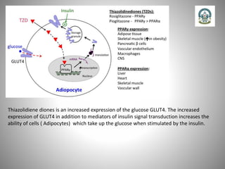 Thiazolidiene diones is an increased expression of the glucose GLUT4. The increased
expression of GLUT4 in addition to mediators of insulin signal transduction increases the
ability of cells ( Adipocytes) which take up the glucose when stimulated by the insulin.
 