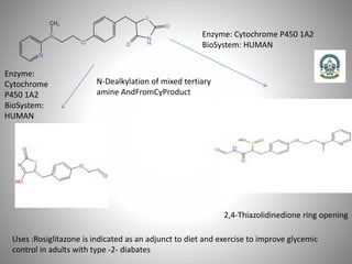 N-Dealkylation of mixed tertiary
amine AndFromCyProduct
2,4-Thiazolidinedione ring opening
Enzyme: Cytochrome P450 1A2
BioSystem: HUMAN
Enzyme:
Cytochrome
P450 1A2
BioSystem:
HUMAN
Uses :Rosiglitazone is indicated as an adjunct to diet and exercise to improve glycemic
control in adults with type -2- diabates
 