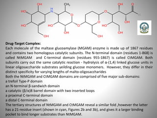 Drug-Target Complex:
Each molecule of the maltase glucoamylase (MGAM) enzyme is made up of 1867 residues
and contains two homologous catalytic subunits. The N-terminal domain (residues 1-868) is
called NtMGAM and C-terminal domain (residues 955-1867) is called CtMGAM. Both
subunits carry out the same catalytic reaction - hydrolysis of α-(1,4) linked glucose units in
linear oligosaccharide substrates yeilding glucose monomers. However, they differ in their
distinct specificity for varying lengths of malto-oligosaccharides
Both the NtMGAM and CtMGAM domains are comprised of five major sub-domains:
a trefoil Type-P domain
an N-terminal β-sandwich domain
a catalytic (β/α)8 barrel domain with two inserted loops
a proximal C-terminal domain
a distal C-terminal domain
The tertiary structures of NtMGAM and CtMGAM reveal a similar fold ,however the latter
has a 21-residue insert (shown in cyan, Figures 2b and 3b), and gives it a larger binding
pocket to bind longer substrates than NtMGAM.
 