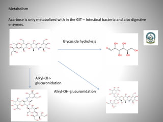 Metabolism
Acarbose is only metabolized with in the GIT – Intestinal bacteria and also digestive
enzymes.
Glycoside hydrolysis
Alkyl-OH-glucuronidation
Alkyl-OH-
glucuronidation
 