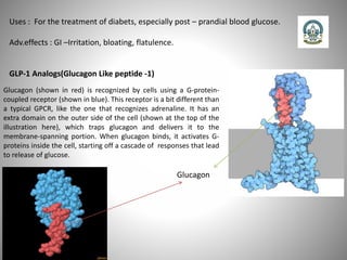 Uses : For the treatment of diabets, especially post – prandial blood glucose.
Adv.effects : GI –Irritation, bloating, flatulence.
GLP-1 Analogs(Glucagon Like peptide -1)
Glucagon
Glucagon (shown in red) is recognized by cells using a G-protein-
coupled receptor (shown in blue). This receptor is a bit different than
a typical GPCR, like the one that recognizes adrenaline. It has an
extra domain on the outer side of the cell (shown at the top of the
illustration here), which traps glucagon and delivers it to the
membrane-spanning portion. When glucagon binds, it activates G-
proteins inside the cell, starting off a cascade of responses that lead
to release of glucose.
 