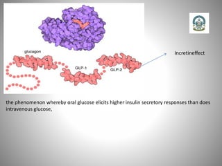 Incretineffect
the phenomenon whereby oral glucose elicits higher insulin secretory responses than does
intravenous glucose,
 