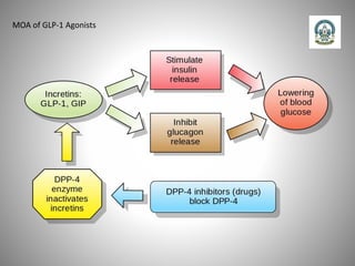 MOA of GLP-1 Agonists
 