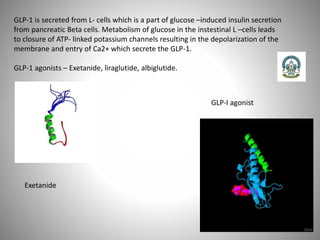 GLP-1 is secreted from L- cells which is a part of glucose –induced insulin secretion
from pancreatic Beta cells. Metabolism of glucose in the instestinal L –cells leads
to closure of ATP- linked potassium channels resulting in the depolarization of the
membrane and entry of Ca2+ which secrete the GLP-1.
GLP-1 agonists – Exetanide, liraglutide, albiglutide.
Exetanide
GLP-I agonist
 