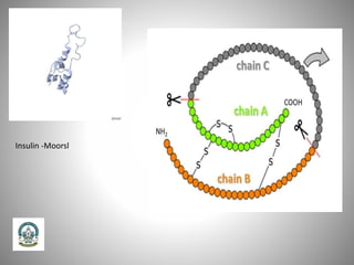 Insulin -Moorsl
 