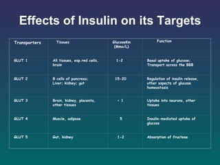Effects of Insulin on its Targets Transporters Tissues GlucoseKm (Mmo/L)  Function GLUT 1 All tissues, esp.red cells, brain 1-2 Basal uptake of glucose; Transport across the BBB GLUT 2 B cells of pancreas; Liver; kidney; gut 15-20  Regulation of insulin release, other aspects of glucose homeostasis GLUT 3 Brain, kidney, placenta, other tissues < 1 Uptake into neurons, other tissues GLUT 4 Muscle, adipose 5 Insulin-mediated uptake of glucose GLUT 5 Gut, kidney  1-2 Absorption of fructose 