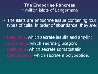 The Endocrine Pancreas 1 million islets of Langerhans The islets are endocrine tissue containing four types of cells. In order of abundance, they are:  beta cells , which secrete insulin and amylin;   alpha cells , which secrete glucagon;  delta cells , which secrete somatostatin gamma cells , which secrete a polypeptide. 