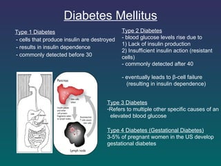 Diabetes Mellitus Type 1 Diabetes - cells that produce insulin are destroyed  - results in insulin dependence - commonly detected before 30 Type 2 Diabetes - blood glucose levels rise due to  1) Lack of insulin production 2) Insufficient insulin action (resistant cells) - commonly detected after 40 - eventually leads to β-cell failure  (resulting in insulin dependence) Type 3 Diabetes Refers to multiple other specific causes of an elevated blood glucose Type 4 Diabetes (Gestational Diabetes)   3-5% of pregnant women in the US develop gestational diabetes 