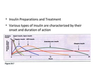 • Insulin Preparations and Treatment
• Various types of insulin are characterized by their
onset and duration of action
 
