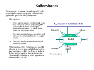 Sulfonylureas
These agents promote the release of insulin
from β-cells (secretogogues); tolbutamide,
glyburide, glipizide and glimepiride.
• Mechanism:
– These agents require functioning β-cells,
they stimulate release by blocking ATP-
sensitive K+ channels resulting in
depolarization with Ca2+ influx which
promotes insulin secretion.
– They also reduce glucagon secretion and
increase the binding of insulin to target
tissues.
– They may also increase the number of
insulin receptors
• Pharmacokinetics: These agents bind to
plasma proteins, are metabolized in the
liver and excreted by the liver or kidney.
Tolbutamide has the shortest duration
of action (6-12 hrs) the other agents are
effective for ~24 hrs.
 