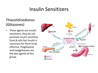 Insulin Sensitizers
Thiazolidinediones
(Glitazones)
• These agents are insulin
sensitizers, they do not
promote insulin secretion
from β-cells but insulin is
necessary for them to be
effective. Pioglitazone
and rosigglitazone are
the two agents of this
group.
 