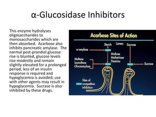 α-Glucosidase Inhibitors
This enzyme hydrolyses
oligosaccharides to
monosaccharides which are
then absorbed. Acarbose also
inhibits pancreatic amylase. The
normal post-prandial glucose
rise is blunted, glucose levels
rise modestly and remain
slightly elevated for a prolonged
period, less of an insulin
response is required and
hypoglycemia is avoided; use
with other agents may result in
hypoglycemia. Sucrase is also
inhibited by these drugs.
 