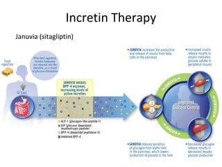 Incretin Therapy
Januvia (sitagliptin)
 