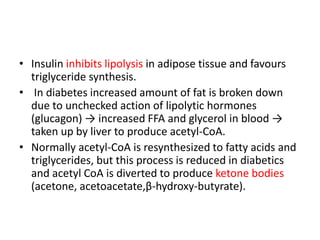 • Insulin inhibits lipolysis in adipose tissue and favours
triglyceride synthesis.
• In diabetes increased amount of fat is broken down
due to unchecked action of lipolytic hormones
(glucagon) → increased FFA and glycerol in blood →
taken up by liver to produce acetyl-CoA.
• Normally acetyl-CoA is resynthesized to fatty acids and
triglycerides, but this process is reduced in diabetics
and acetyl CoA is diverted to produce ketone bodies
(acetone, acetoacetate,β-hydroxy-butyrate).
 