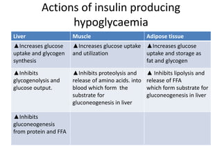Actions of insulin producing
hypoglycaemia
Liver Muscle Adipose tissue
▲Increases glucose
uptake and glycogen
synthesis
▲Increases glucose uptake
and utilization
▲Increases glucose
uptake and storage as
fat and glycogen
▲Inhibits
glycogenolysis and
glucose output.
▲Inhibits proteolysis and
release of amino acids. into
blood which form the
substrate for
gluconeogenesis in liver
▲ Inhibits lipolysis and
release of FFA
which form substrate for
gluconeogenesis in liver
▲Inhibits
gluconeogenesis
from protein and FFA
 