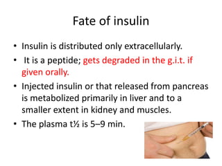Fate of insulin
• Insulin is distributed only extracellularly.
• It is a peptide; gets degraded in the g.i.t. if
given orally.
• Injected insulin or that released from pancreas
is metabolized primarily in liver and to a
smaller extent in kidney and muscles.
• The plasma t½ is 5–9 min.
 