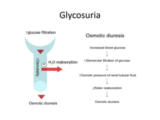 Glycosuria
 
