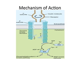 Comprehensive Overview of Anti Diabetic Drugs and Their Mechanisms | PPTX