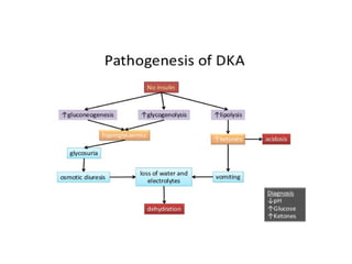 Comprehensive Overview of Anti Diabetic Drugs and Their Mechanisms | PPTX