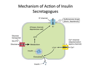 Comprehensive Overview of Anti Diabetic Drugs and Their Mechanisms | PPTX