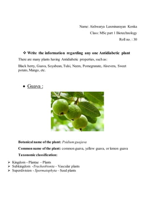 Name: Aishwarya Laxminarayan Konka
Class: MSc part 1 Biotechnology
Roll no. : 30
 Write the information regarding any one Antidiabetic plant
There are many plants having Antidiabetic properties, such as:
Black berry, Guava, Soyabean, Tulsi, Neem, Pomegranate, Aloevera, Sweet
potato, Mango, etc.
 Guava :
Botanicalname of the plant: Psidium guajava
Common name of the plant: common guava, yellow guava, or lemon guava
Taxonomic classification:
 Kingdom - Plantae – Plants
 Subkingdom -Tracheobionta – Vascular plants
 Superdivision - Spermatophyta – Seed plants
 