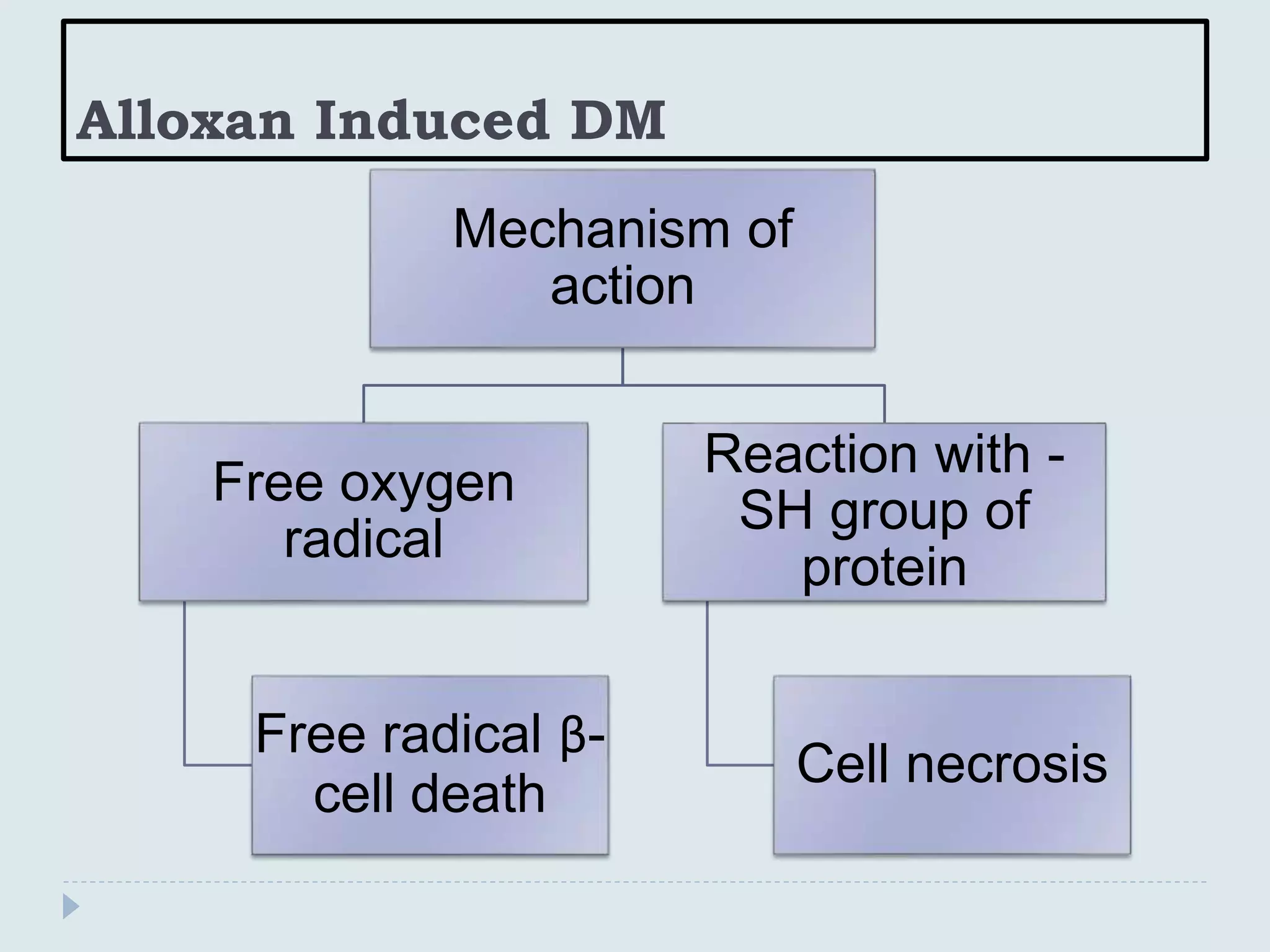 Alloxan Induced DM
Mechanism of
action
Free oxygen
radical
Free radical β-
cell death
Reaction with -
SH group of
protein
Cell necrosis
 