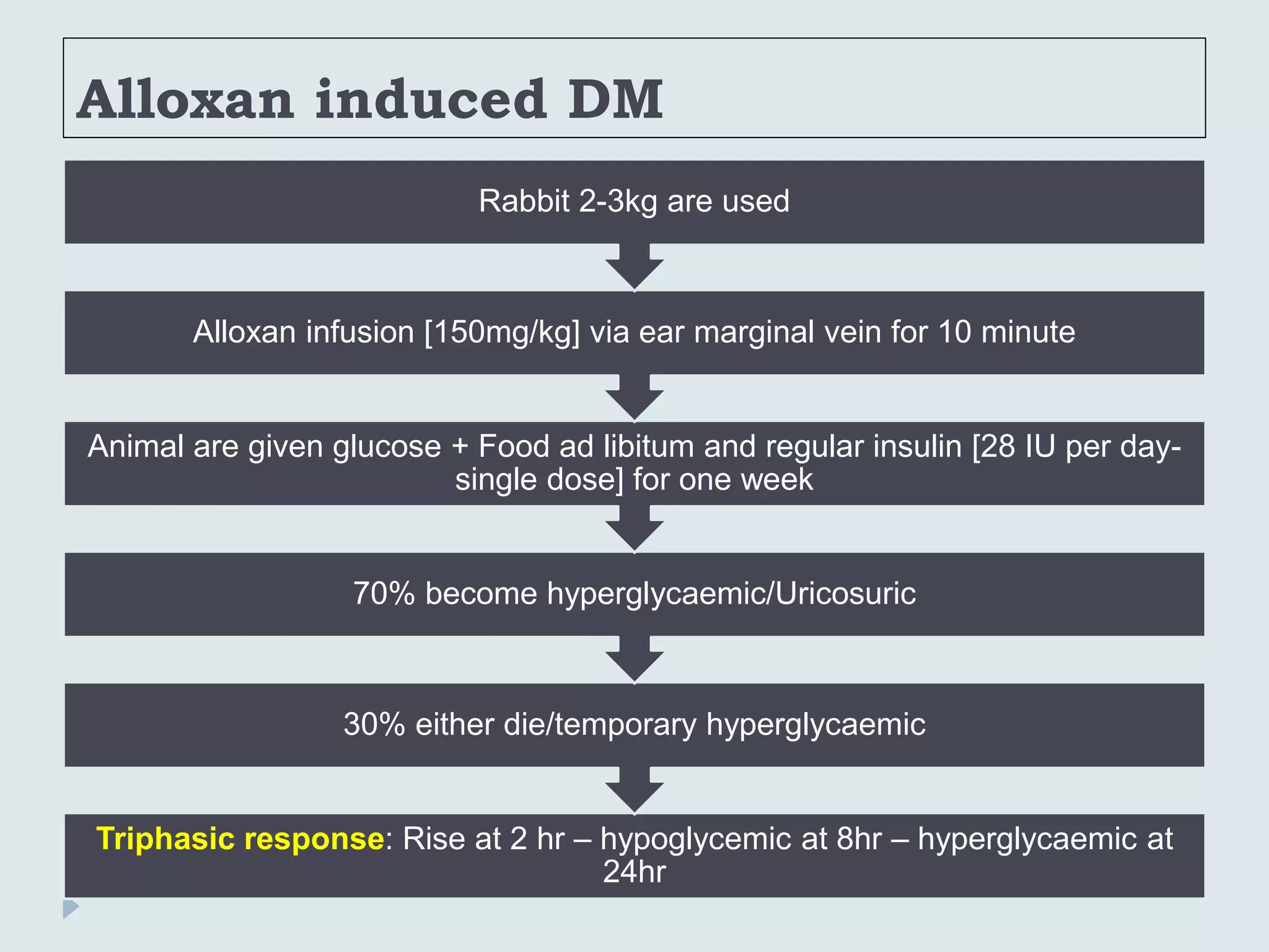 Alloxan induced DM
Triphasic response: Rise at 2 hr – hypoglycemic at 8hr – hyperglycaemic at
24hr
30% either die/temporary hyperglycaemic
70% become hyperglycaemic/Uricosuric
Animal are given glucose + Food ad libitum and regular insulin [28 IU per day-
single dose] for one week
Alloxan infusion [150mg/kg] via ear marginal vein for 10 minute
Rabbit 2-3kg are used
 
