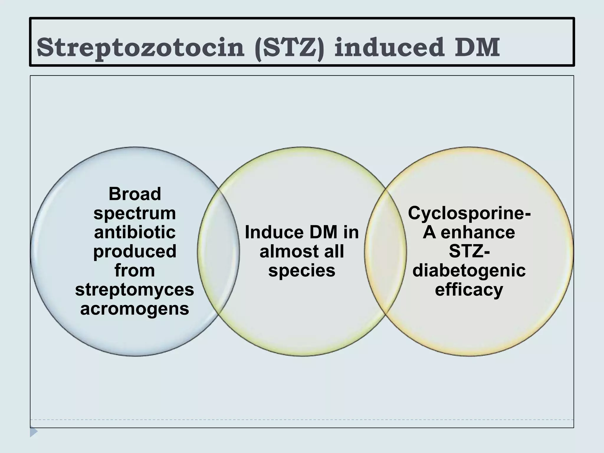 Streptozotocin (STZ) induced DM
Broad
spectrum
antibiotic
produced
from
streptomyces
acromogens
Induce DM in
almost all
species
Cyclosporine-
A enhance
STZ-
diabetogenic
efficacy
 