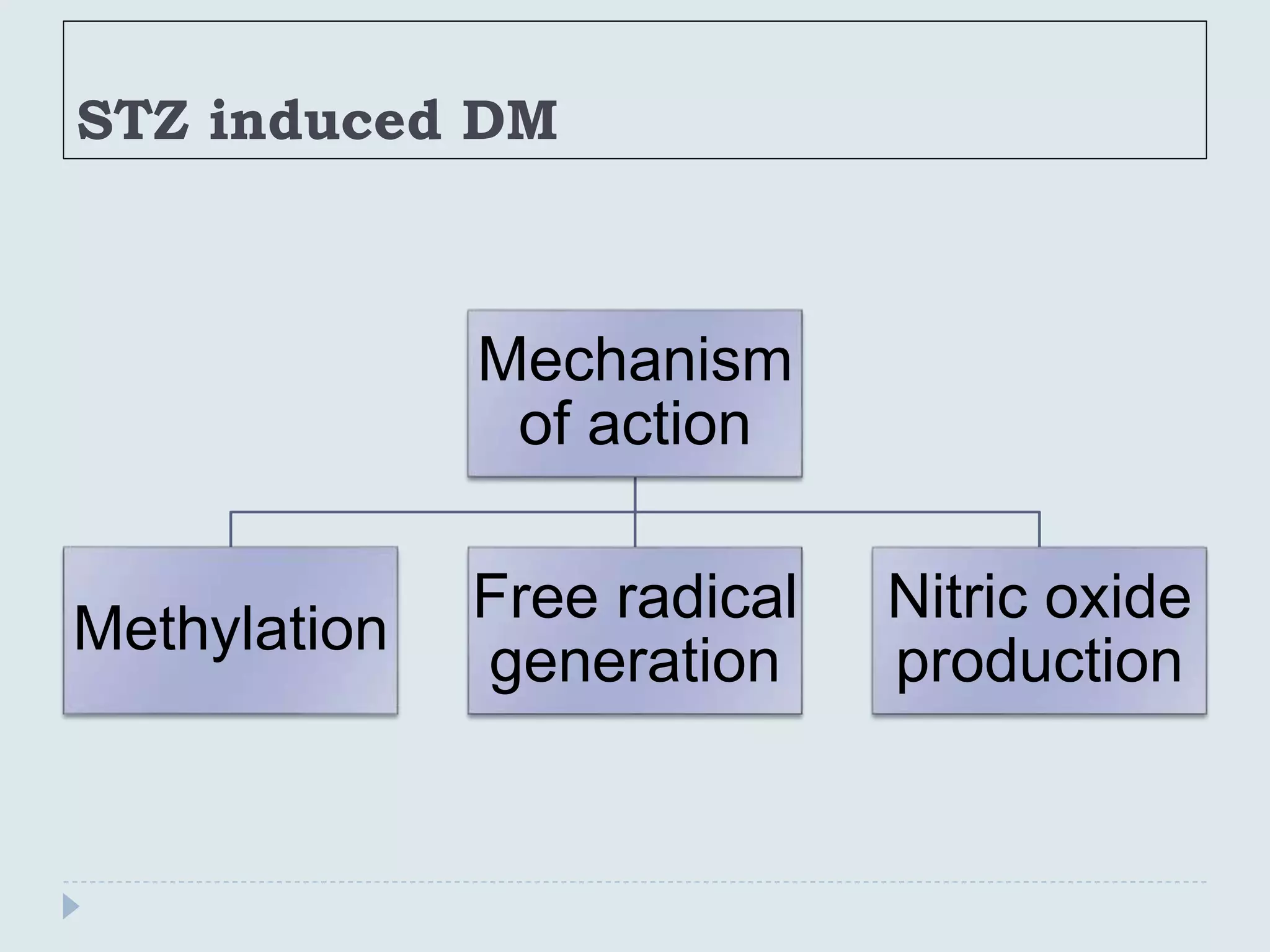 STZ induced DM
Mechanism
of action
Methylation
Free radical
generation
Nitric oxide
production
 