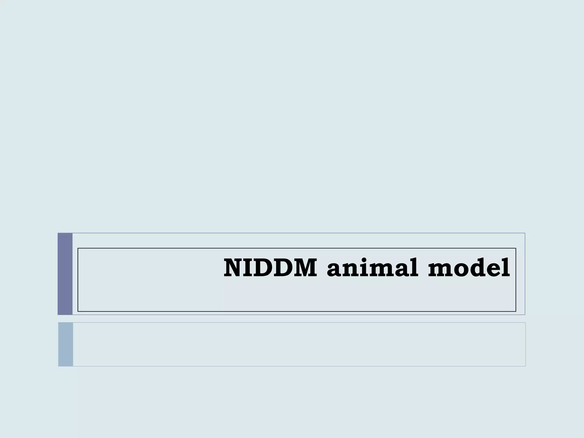 NIDDM animal model
 