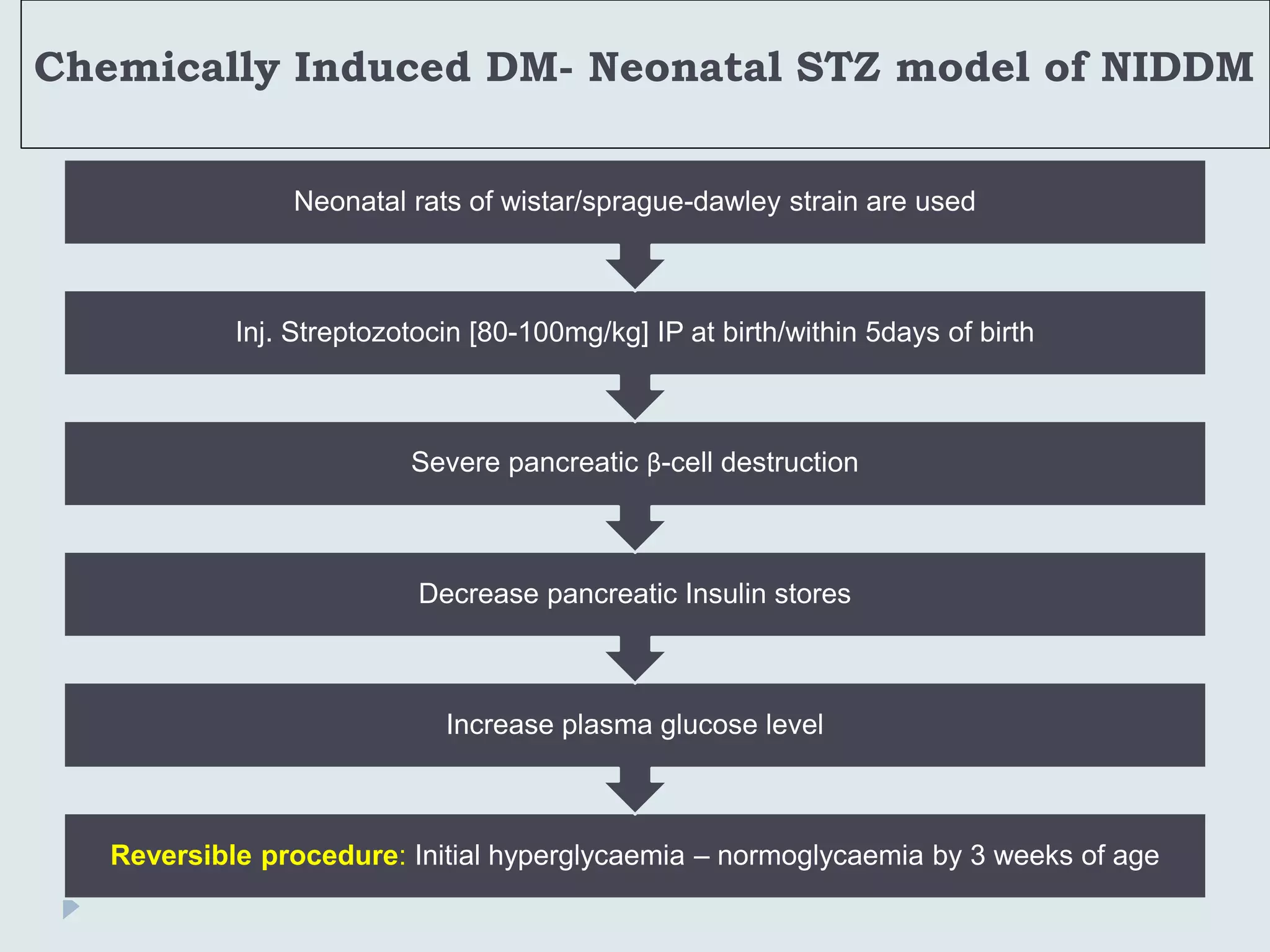 Chemically Induced DM- Neonatal STZ model of NIDDM
Reversible procedure: Initial hyperglycaemia – normoglycaemia by 3 weeks of age
Increase plasma glucose level
Decrease pancreatic Insulin stores
Severe pancreatic β-cell destruction
Inj. Streptozotocin [80-100mg/kg] IP at birth/within 5days of birth
Neonatal rats of wistar/sprague-dawley strain are used
 