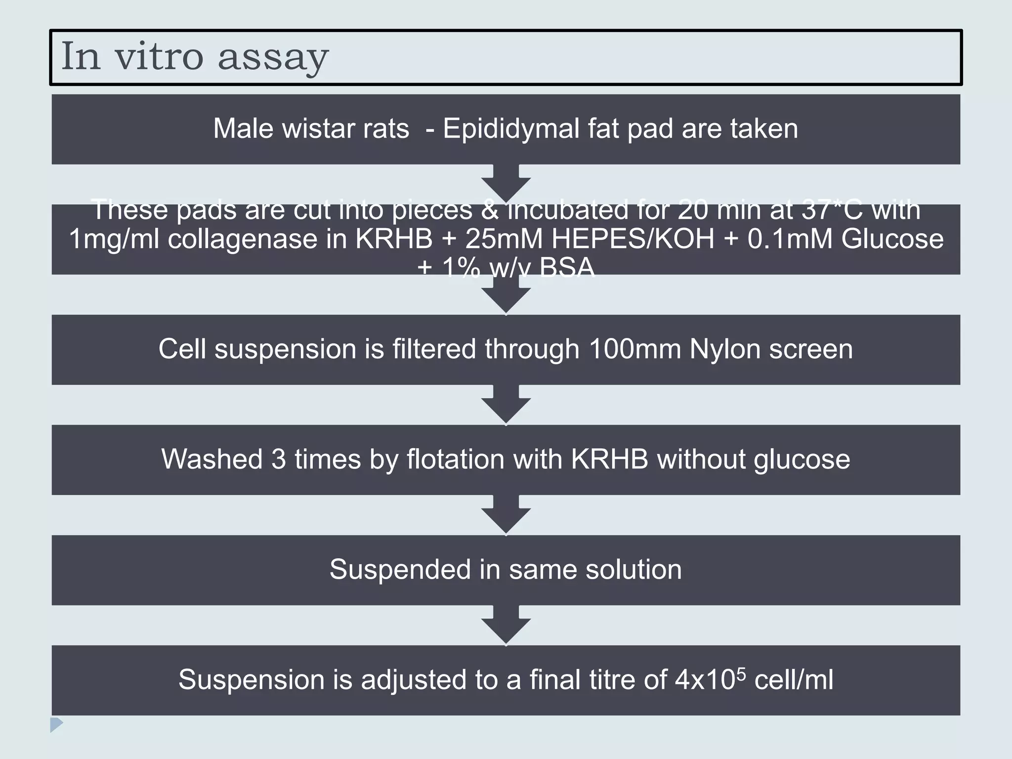 In vitro assay
Suspension is adjusted to a final titre of 4x105 cell/ml
Suspended in same solution
Washed 3 times by flotation with KRHB without glucose
Cell suspension is filtered through 100mm Nylon screen
These pads are cut into pieces & incubated for 20 min at 37*C with
1mg/ml collagenase in KRHB + 25mM HEPES/KOH + 0.1mM Glucose
+ 1% w/v BSA
Male wistar rats - Epididymal fat pad are taken
 