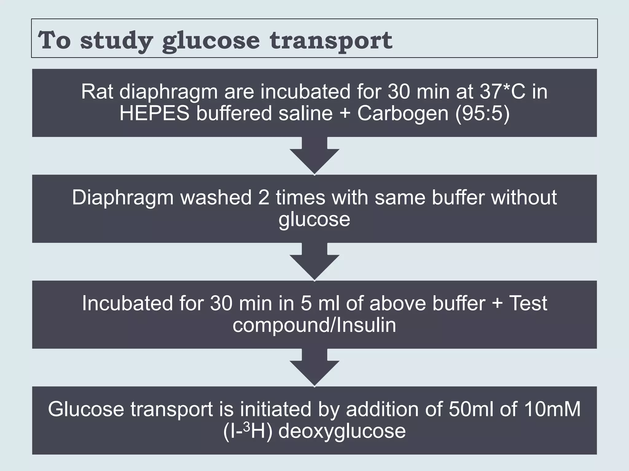 To study glucose transport
Glucose transport is initiated by addition of 50ml of 10mM
(I-3H) deoxyglucose
Incubated for 30 min in 5 ml of above buffer + Test
compound/Insulin
Diaphragm washed 2 times with same buffer without
glucose
Rat diaphragm are incubated for 30 min at 37*C in
HEPES buffered saline + Carbogen (95:5)
 