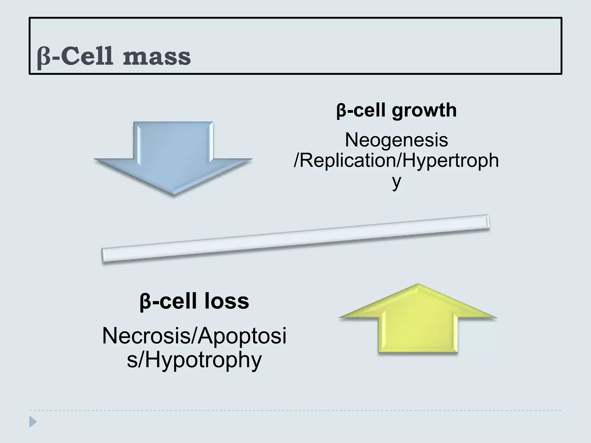 β-Cell mass
β-cell growth
Neogenesis
/Replication/Hypertroph
y
β-cell loss
Necrosis/Apoptosi
s/Hypotrophy
 