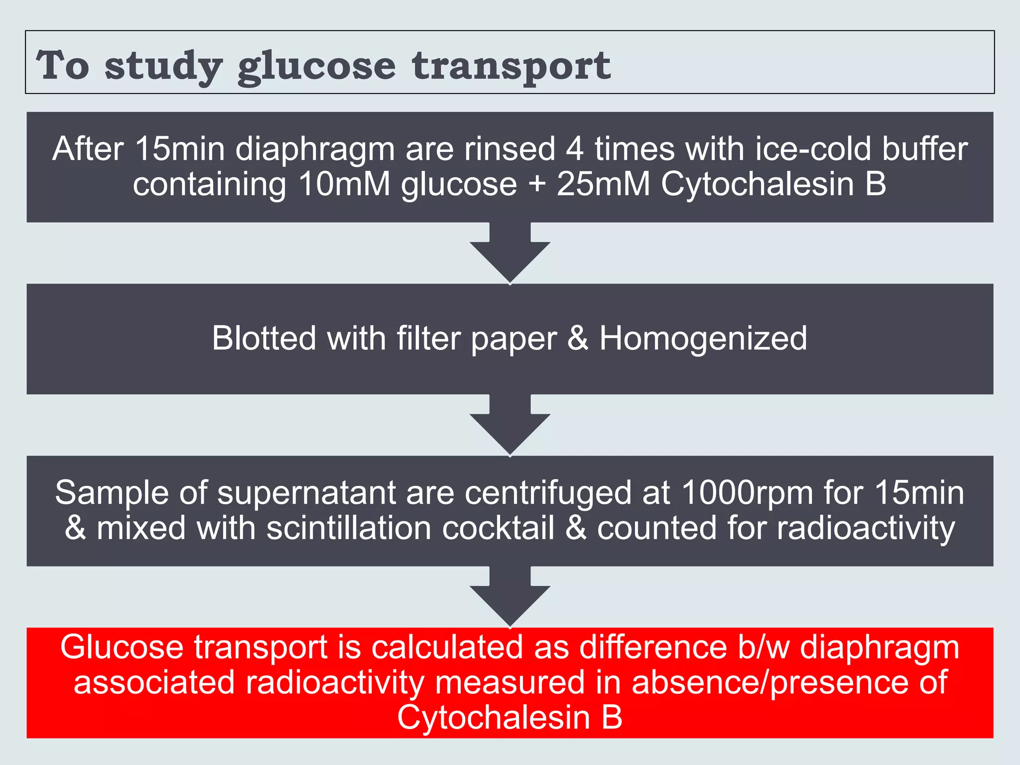 To study glucose transport
Glucose transport is calculated as difference b/w diaphragm
associated radioactivity measured in absence/presence of
Cytochalesin B
Sample of supernatant are centrifuged at 1000rpm for 15min
& mixed with scintillation cocktail & counted for radioactivity
Blotted with filter paper & Homogenized
After 15min diaphragm are rinsed 4 times with ice-cold buffer
containing 10mM glucose + 25mM Cytochalesin B
 