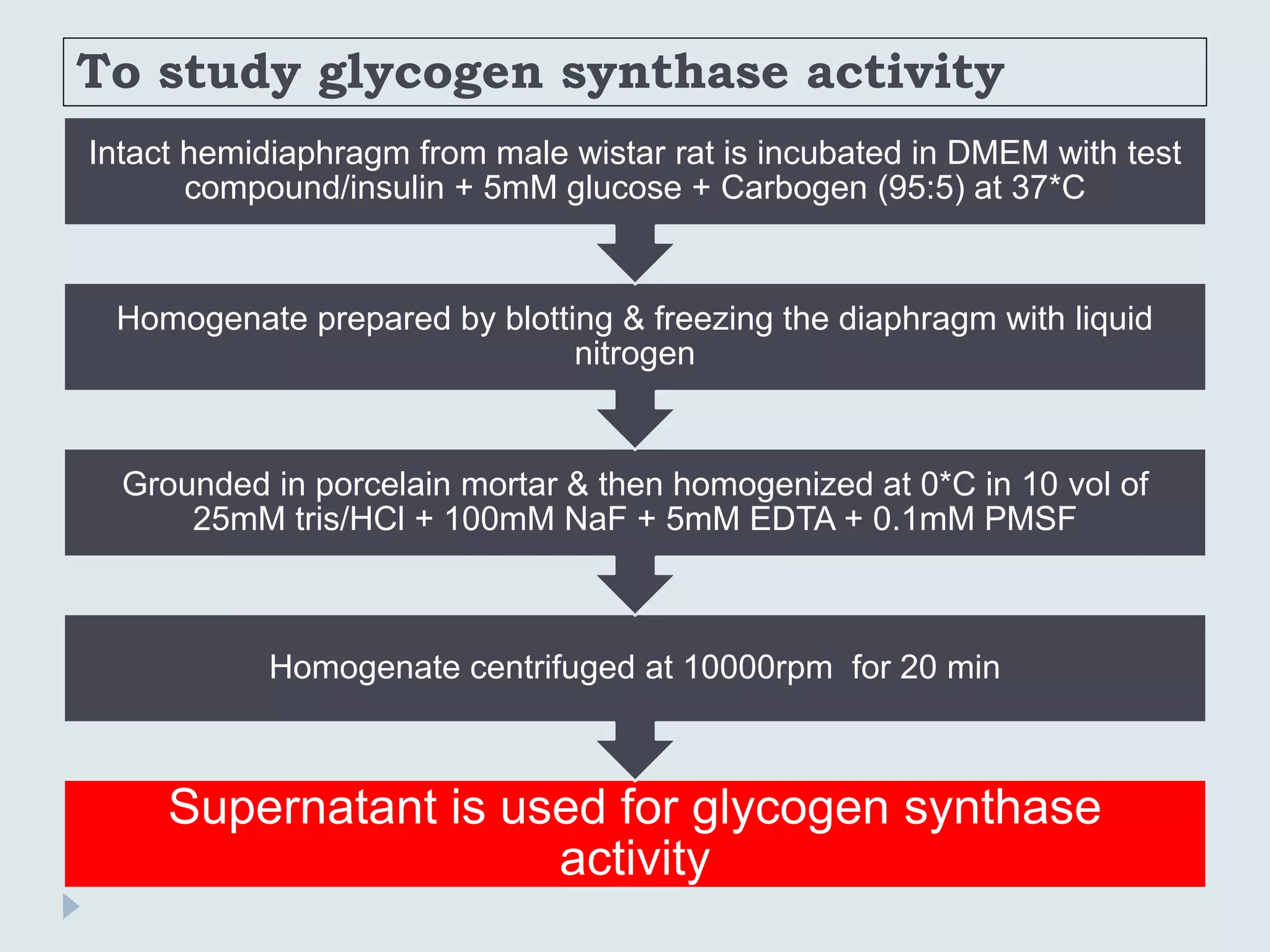 To study glycogen synthase activity
Supernatant is used for glycogen synthase
activity
Homogenate centrifuged at 10000rpm for 20 min
Grounded in porcelain mortar & then homogenized at 0*C in 10 vol of
25mM tris/HCl + 100mM NaF + 5mM EDTA + 0.1mM PMSF
Homogenate prepared by blotting & freezing the diaphragm with liquid
nitrogen
Intact hemidiaphragm from male wistar rat is incubated in DMEM with test
compound/insulin + 5mM glucose + Carbogen (95:5) at 37*C
 